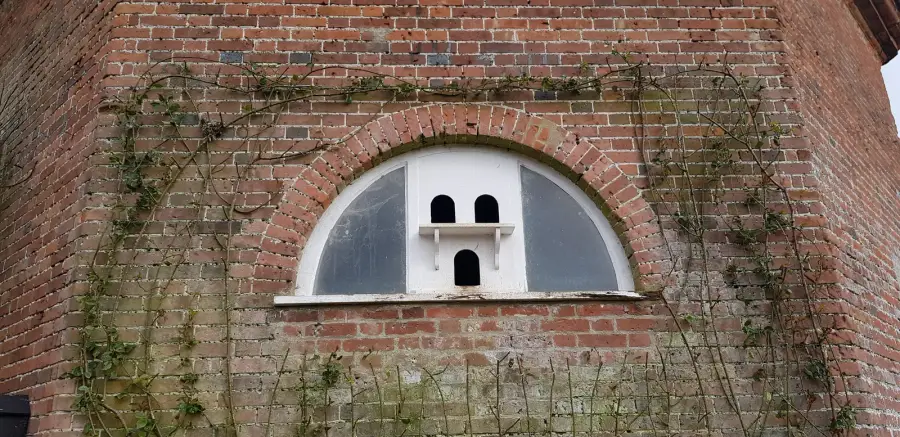 Walled-garden dovecote, Felbrigg