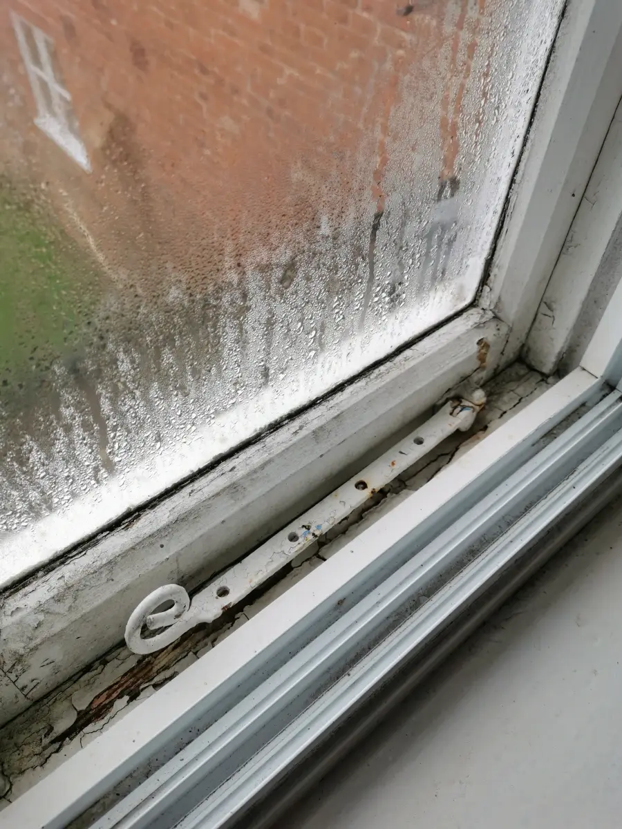 Condensation on window glass