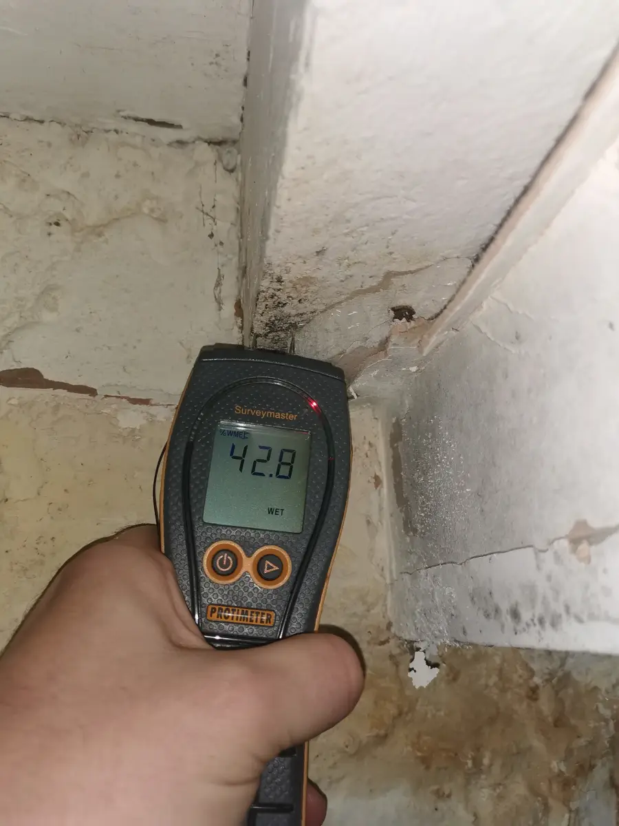 Moisture meter reading on a damp wall