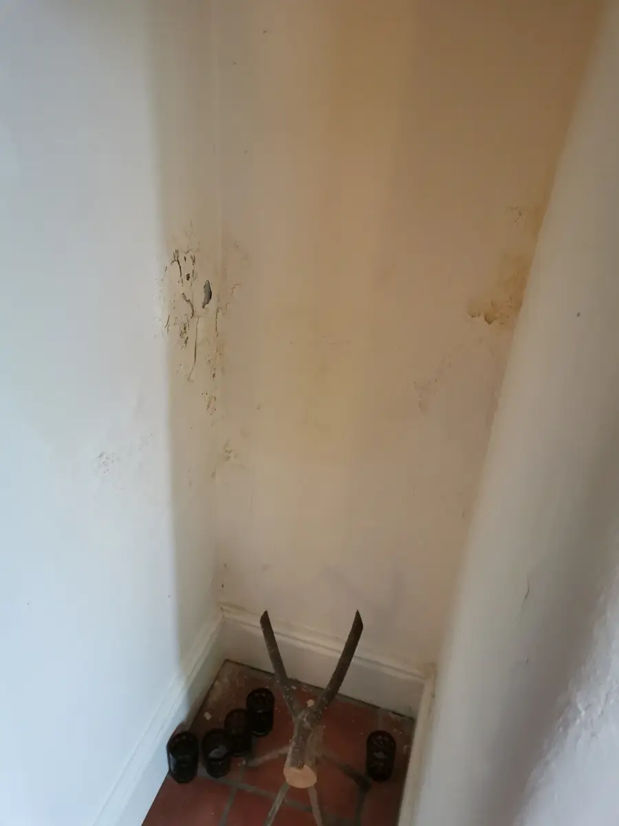 Damp staining and blown plaster on a wall